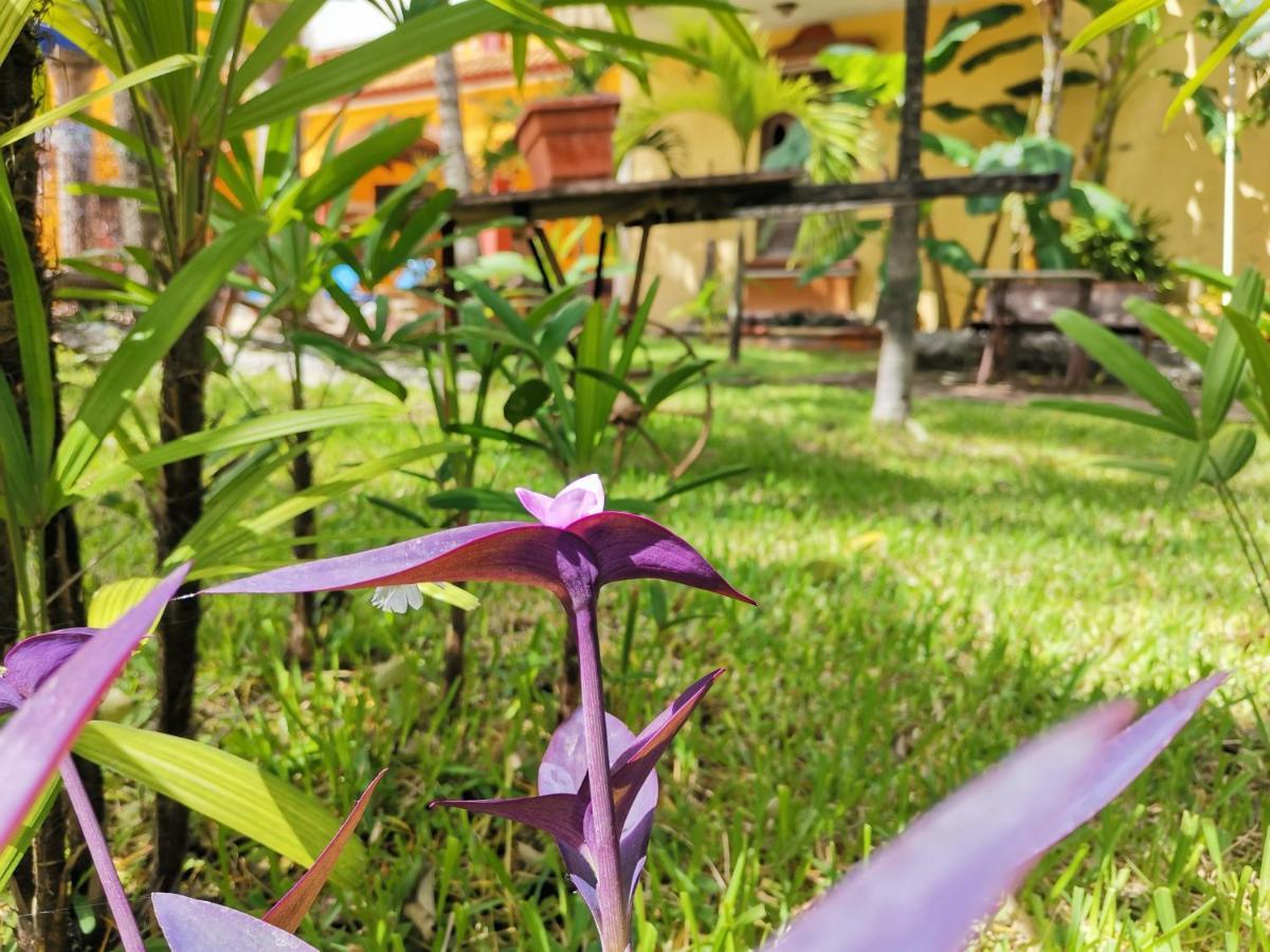 Hacienda Valentina Hotel Playa del Carmen Eksteriør billede